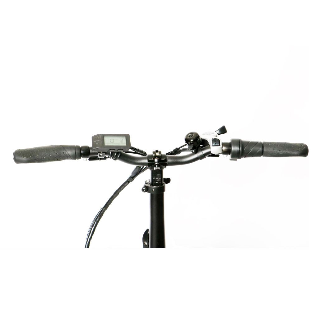 EURONAU 20"City Model NEW TRIKE E-Bike