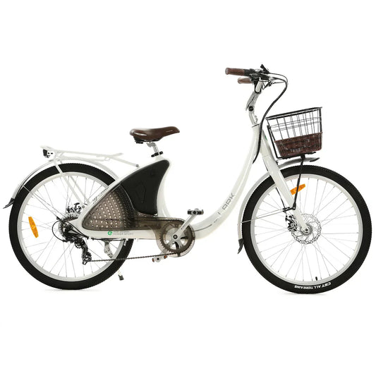 Ecotric Electric Bike Review: Best Models, Real Prices & Honest Breakdown