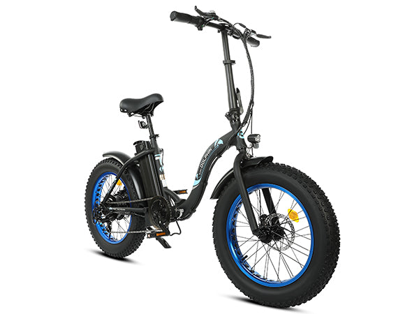 UL Certified-Ecotric 20inch black Portable and folding fat bike model Dolphin