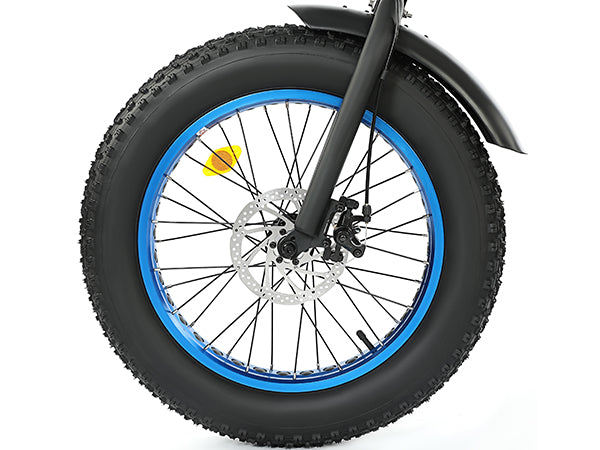 UL Certified-Ecotric 20inch black Portable and folding fat bike model Dolphin