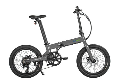 Qualibike DOLPHIN E-BIKE