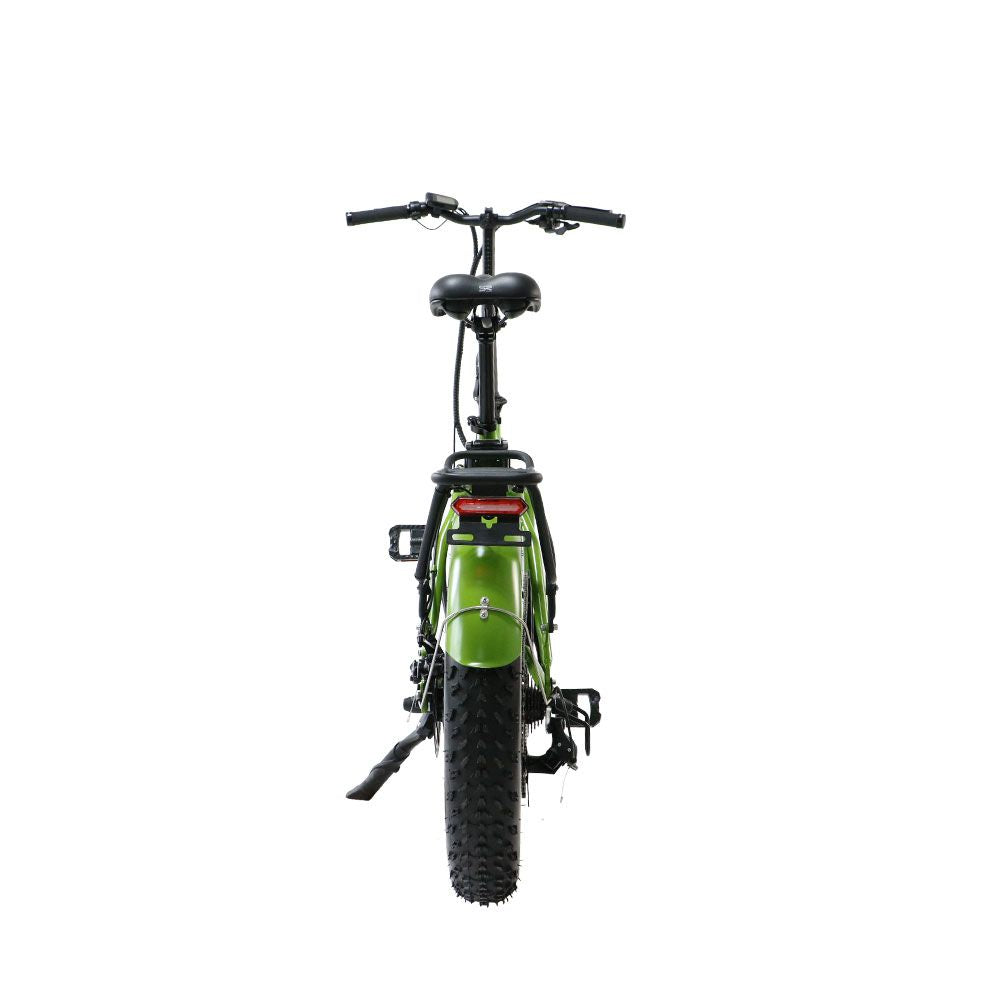 EUNORAU 20" Fat Tire Model E-FAT-MAN E-Bike(GREEN)