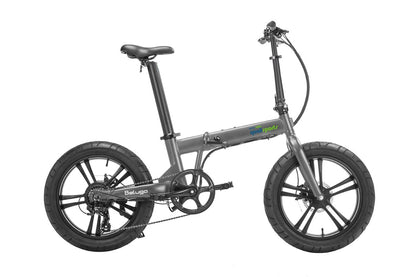 Qualibike BELUGA E-BIKE