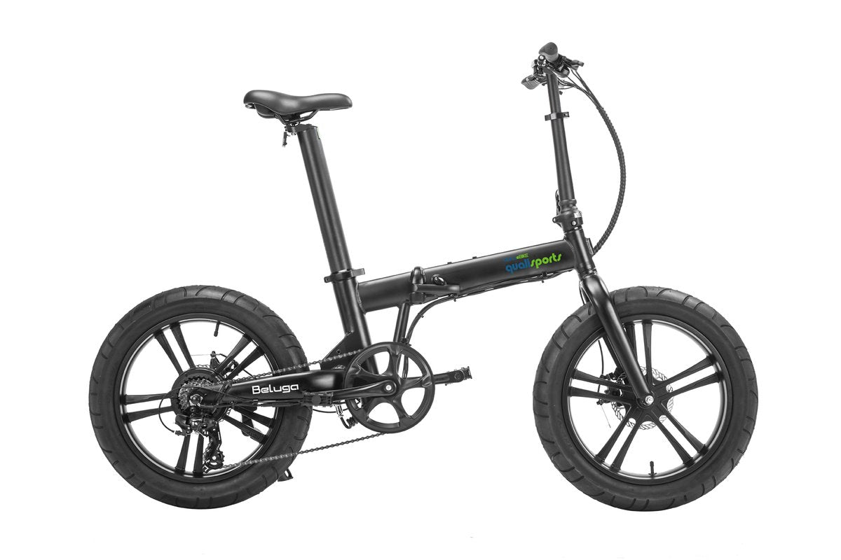 Qualibike BELUGA E-BIKE