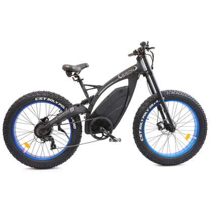 Ecotric Fat Tire ebike Bison-Matt Black